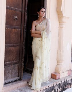 Shop Trendy Sarees for Sangeet Function | Geroo Jaipur