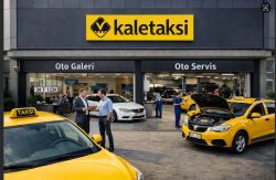 Safeguarding Your Livelihood: The Role of Taxi Licensing Experts in 2026