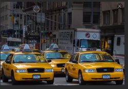 Protecting Your Badge, Protecting Your Livelihood: The Vital Role of Taxi Licensing Experts