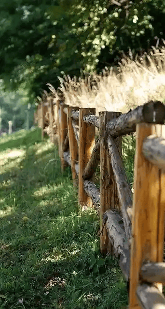 Split Rail Fence Landscape Iideas
