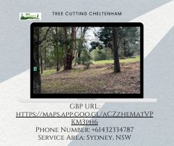 Tree Cutting Cheltenham