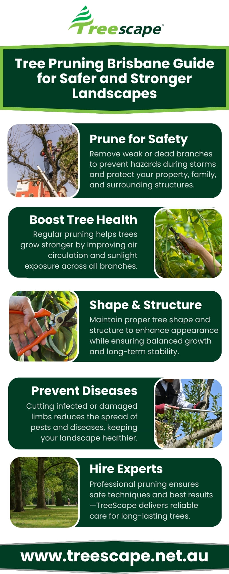 Tree Pruning Brisbane
