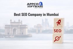 Expert SEO Company in Mumbai | Appco Software