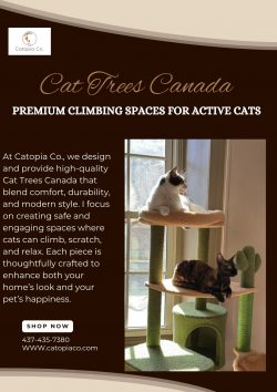 Cat Trees Canada: Premium Climbing Spaces for Active Cats.
