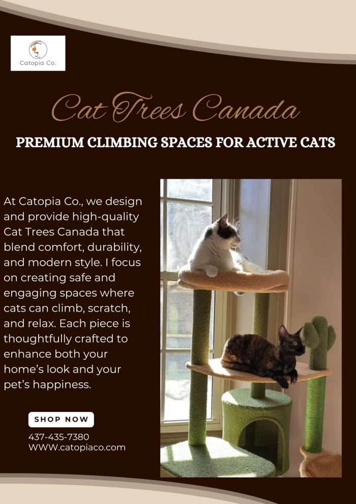 Cat Trees Canada: Premium Climbing Spaces for Active Cats.
