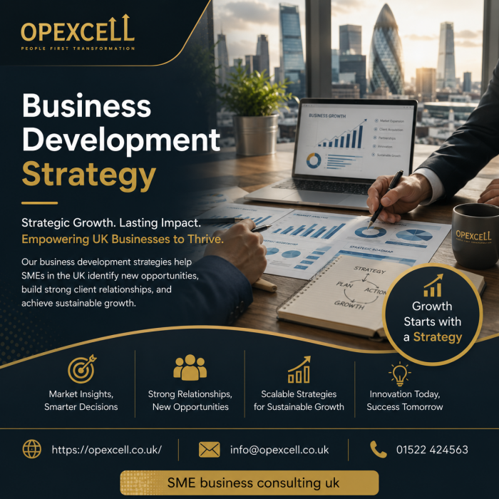 business development strategy