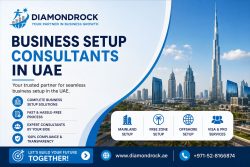 Business Setup Consultants in UAE