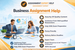 Business Assignment Help for Marketing and Finance Subjects