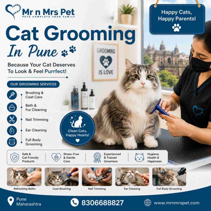 Cat Grooming In Pune
