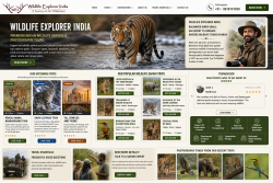 Wildlife Explorer India: Your Gateway to Incredible Wildlife Journeys