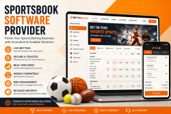 Sportsbook Software Provider