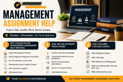 Trusted Management Assignment Help Provider
