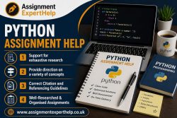 Custom Python Assignment Writing Solutions