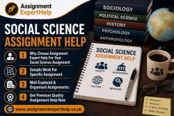 Custom Social Science Assignment Writing Solutions