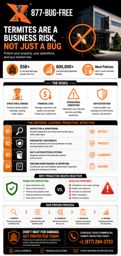 Commercial Termite Control for Long-Term Safety