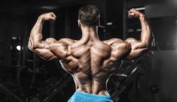 Best Legal Steroids for Fitness Enthusiasts Wanting Faster Workout Results