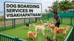 Dog Boarding Services in Visakhapatnam