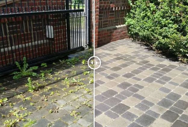 Professional Driveway Cleaning Services for a Cleaner Home