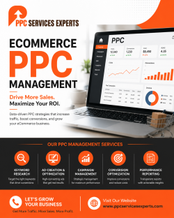 Result-Driven Marketing for Ecommerce Success | PPC Services Experts