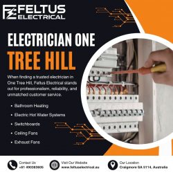 Electrician One Tree Hill