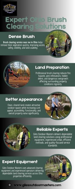 Trusted Brush Clearing Experts