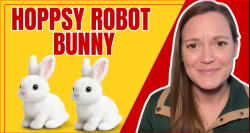 https://www.facebook.com/HoppsyBunnyRobot/