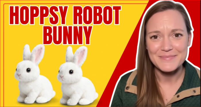 https://www.facebook.com/HoppsyBunnyRobot/