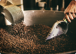 Nepal Coffee Beans For Espresso Machines – The Rise of Himalayan Coffee