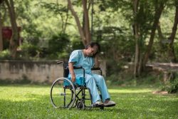 Reliable NDIS Kilbirnie | Compassionate Disability Support