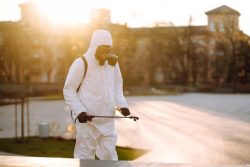Reliable Pest Control Services Dublin for Homes & Businesses