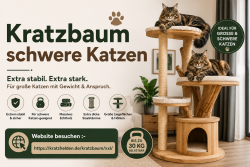 kratzbaum schwere katzen