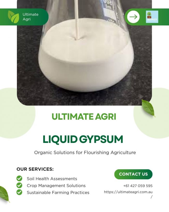 Liquid gypsum
