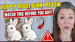 https://www.facebook.com/HoppsyBunnyRobot/