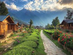 Delhi to Palampur Taxi | Delhi to Palampur Cab
