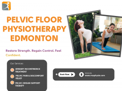 Pelvic Floor Physiotherapy Edmonton