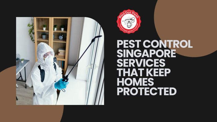 Pest Control Singapore Services That Keep Homes Protected