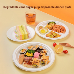 Customized Biodegradable Disposable Dinner Plates