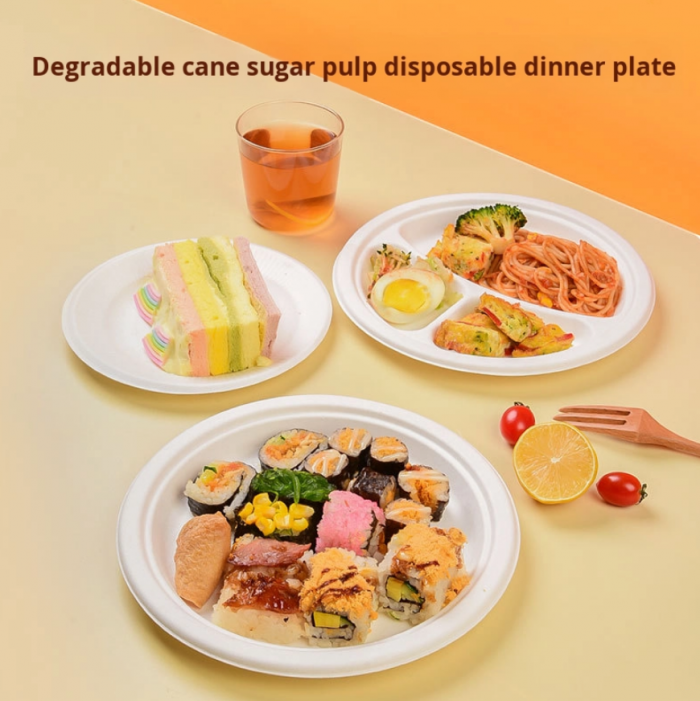 Customized Biodegradable Disposable Dinner Plates