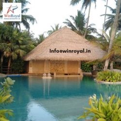 Reed Thatch Roof for Natural and Elegant Outdoor Appeal