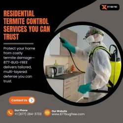 Residential Termite Control Services You Can Trust