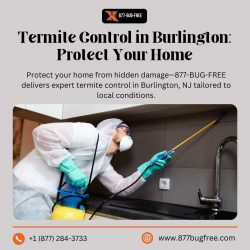 Termite Control in Burlington: Protect Your Home