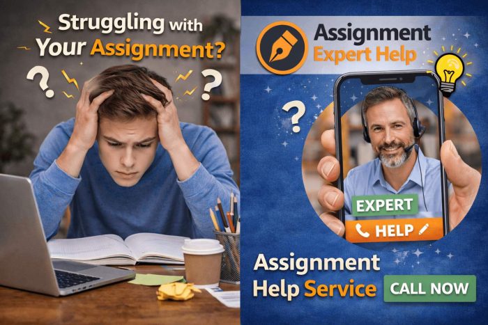 Professional English Assignment Help for Students