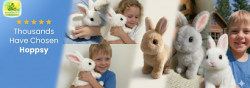 https://www.facebook.com/HoppsyBunnyRobot/