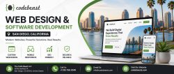 Web Design Agency San Diego | Code Beast