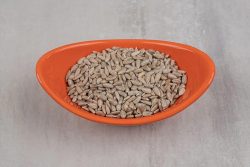 Sunflower Seeds Manufacturers in India