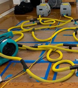 What Is the Best Flood Cleanup Service in Ottawa?