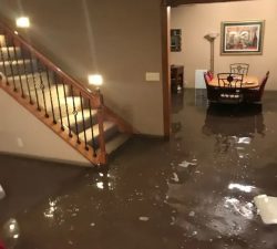 The Importance of Professional Emergency Leak Repair