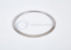 Disc Springs for Valves