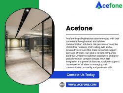 India’s Most Trusted Toll Free Number Providers in India | Acefone