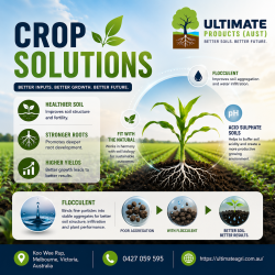 Acid sulphate soils